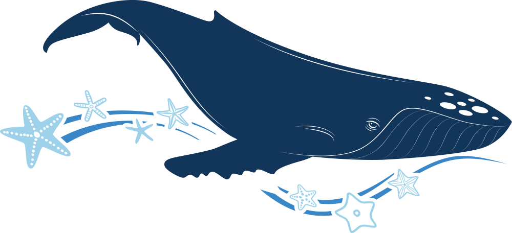 Baleine Baleine